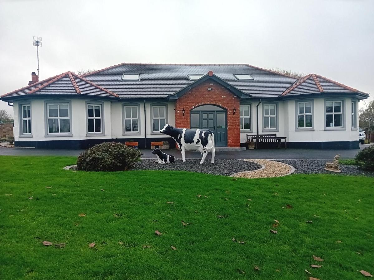 Creeghduff Lodge Downpatrick Bagian luar foto
