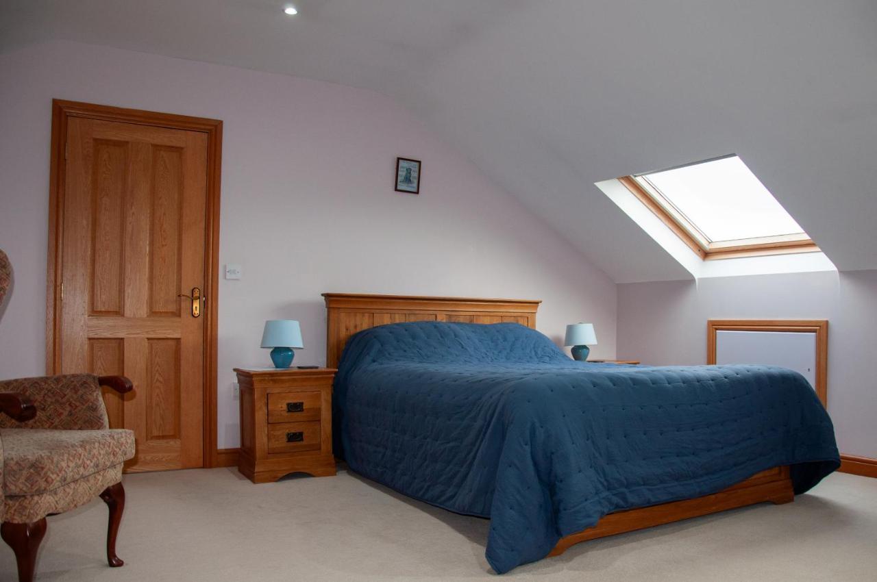 Creeghduff Lodge Downpatrick Bagian luar foto